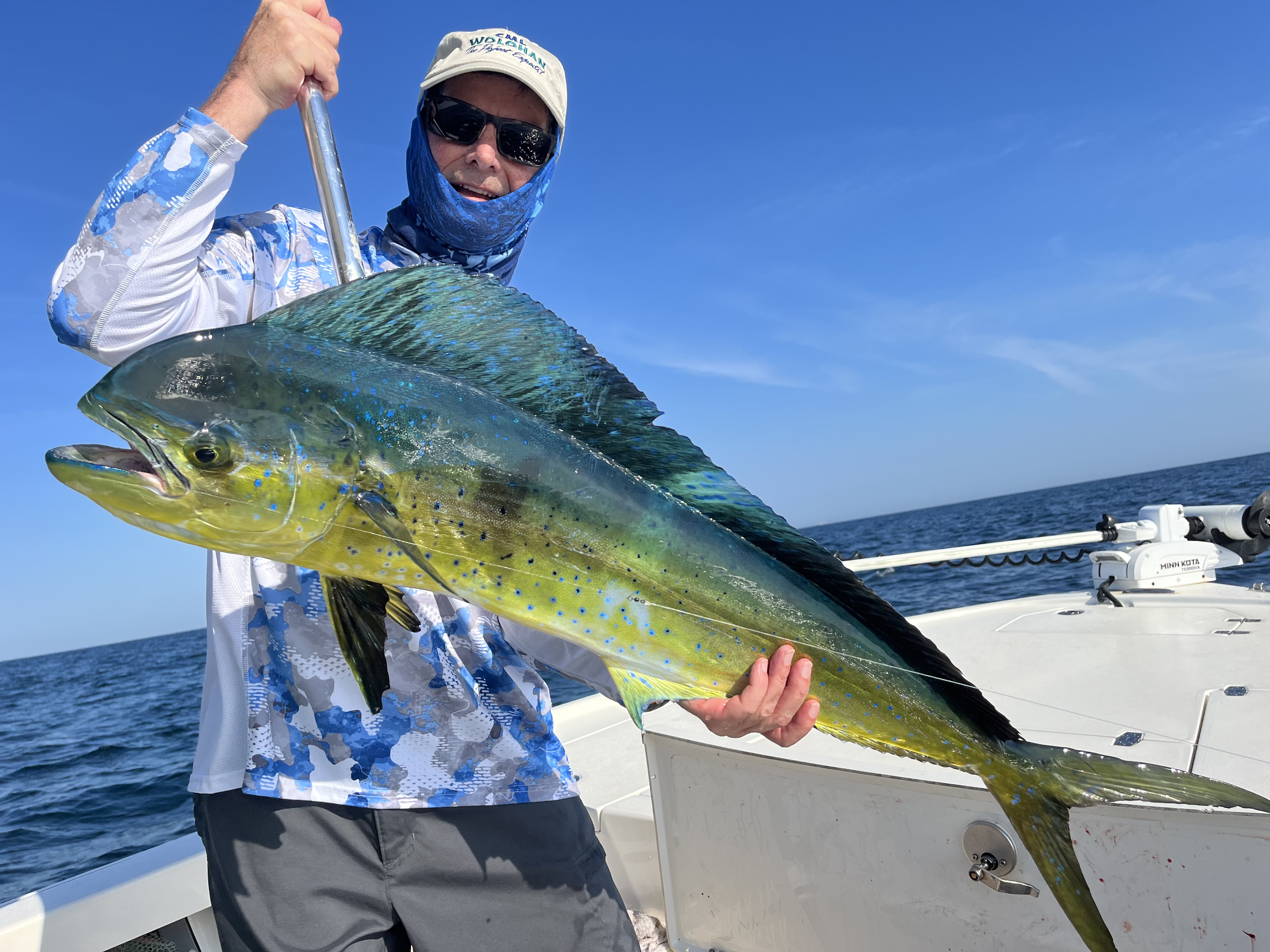 Person Holding a Green Fish